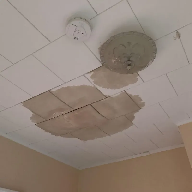 Ceiling Water Damage Repair in Davenport, IA