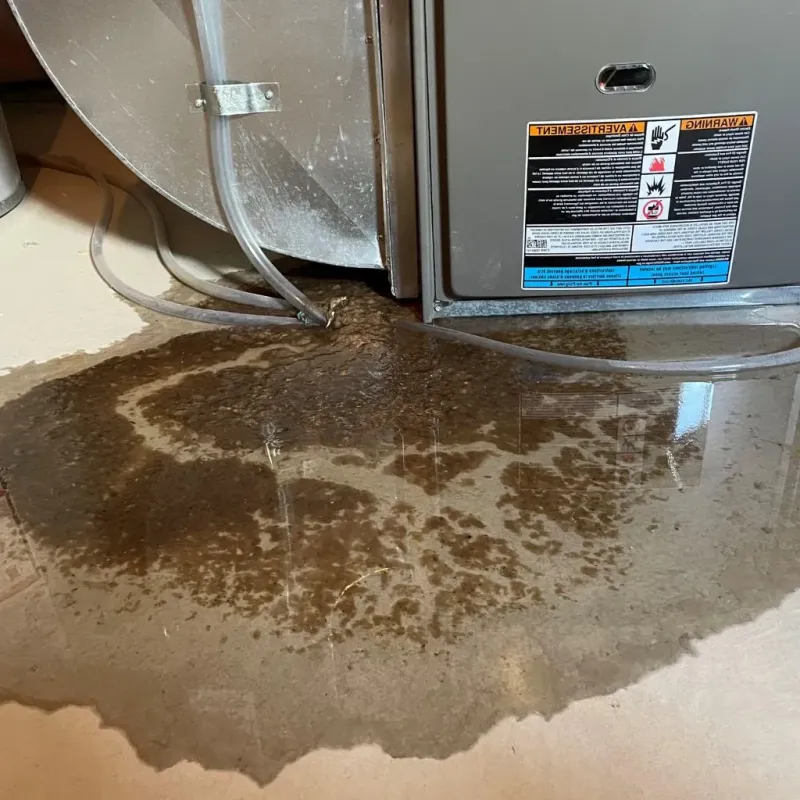 Pipe Burst and Leak Restoration in Davenport, IA