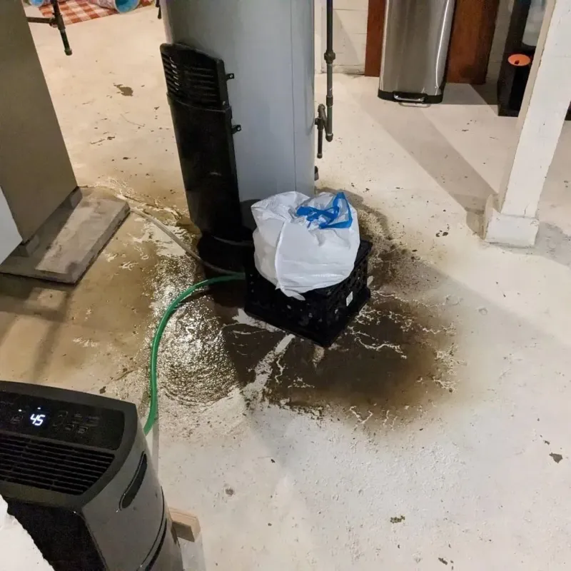 Sewage Backup Cleanup Service in Davenport, IA